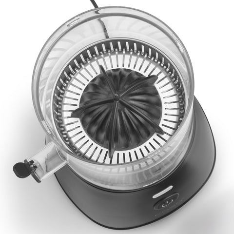 Universal pressing cone with pulp filter, top view